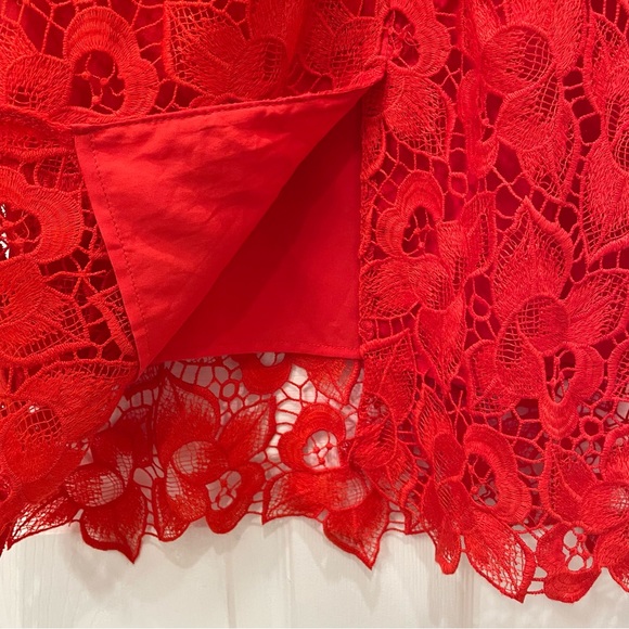 Ann Taylor Lace Dress - Picture 12 of 16